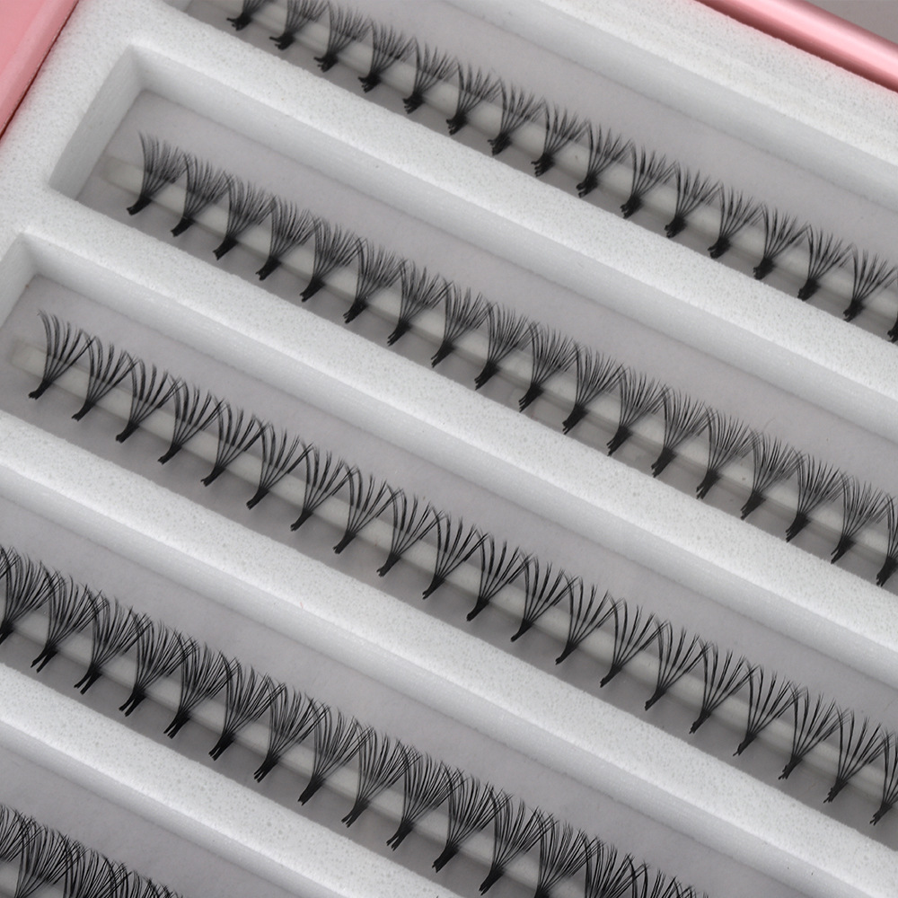OEM 8D 10D ポインティベースプレメイドボリュームフ - Mega Volume Lash のレビューと価格