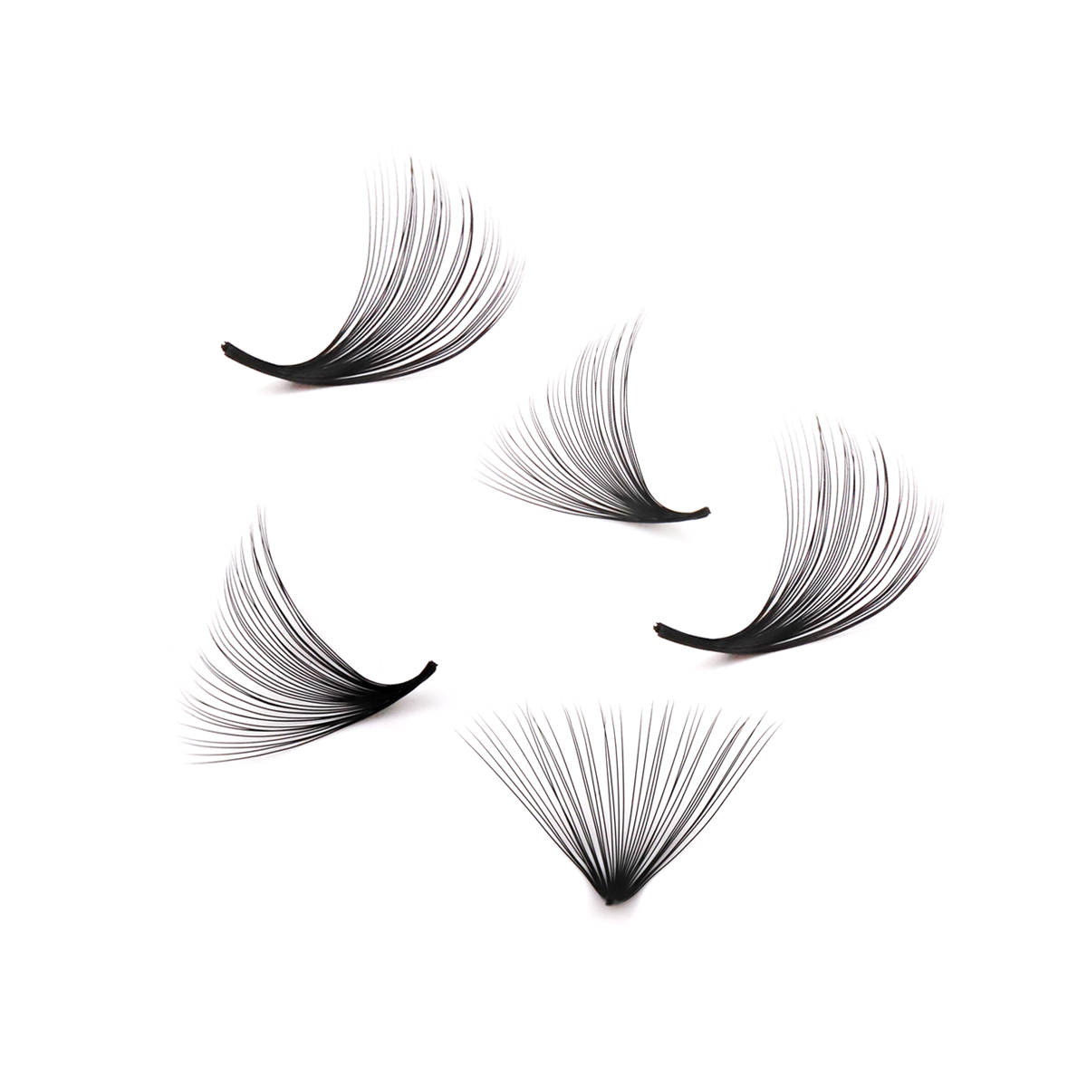 Aguud 2500ファン ルーズファン ポインティベース  - Mega Volume Lash のレビューと価格