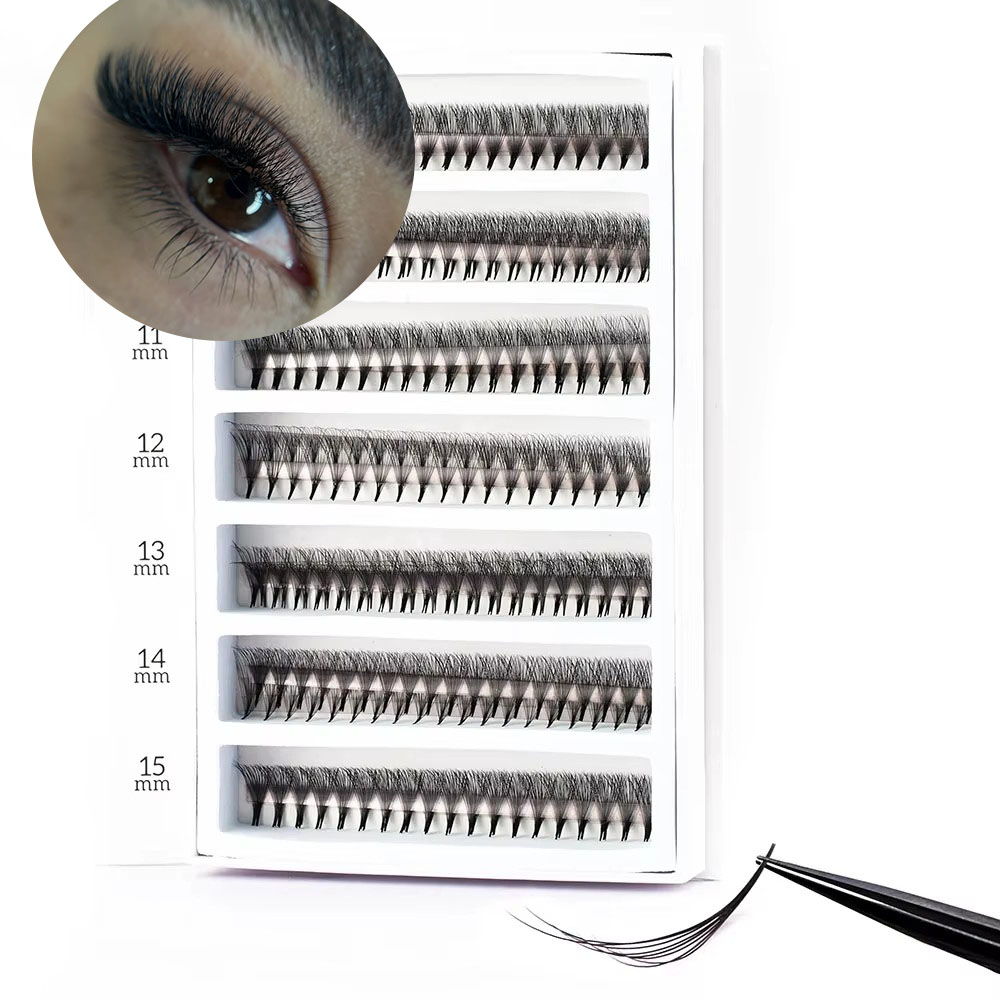 1600 ファン 0.05 手作り 8-30D ラピッドメガ - Mega Volume Lash のレビューと価格