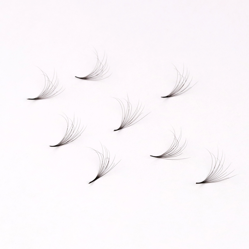 AGUUD 6D ダブルレイヤー ふわふわ ロシアンボリュー - Eyelash Extension Double Volume のレビューと価格